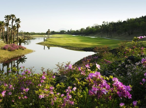 济州岛4天3晚3场球（黑石+乐天+泰迪谷）