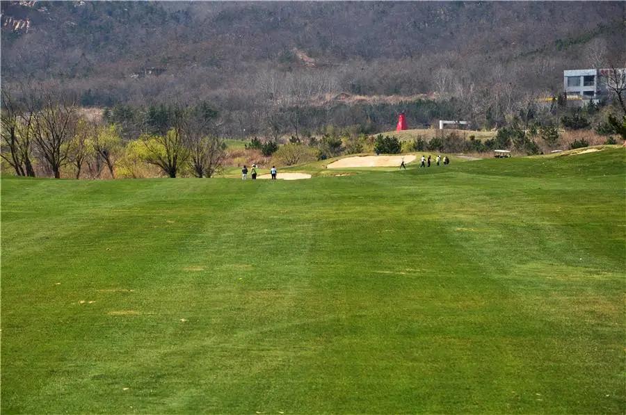 山东石岛湾高尔夫球会