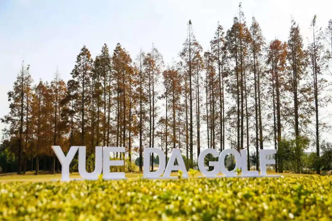 悦达射阳岛高尔夫球会