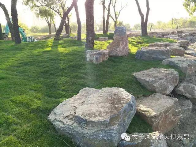 辽阳太子河高尔夫球会