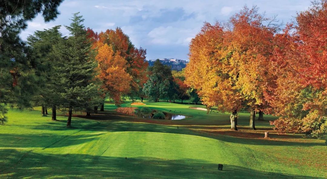 南非深度游17天14晚7场球