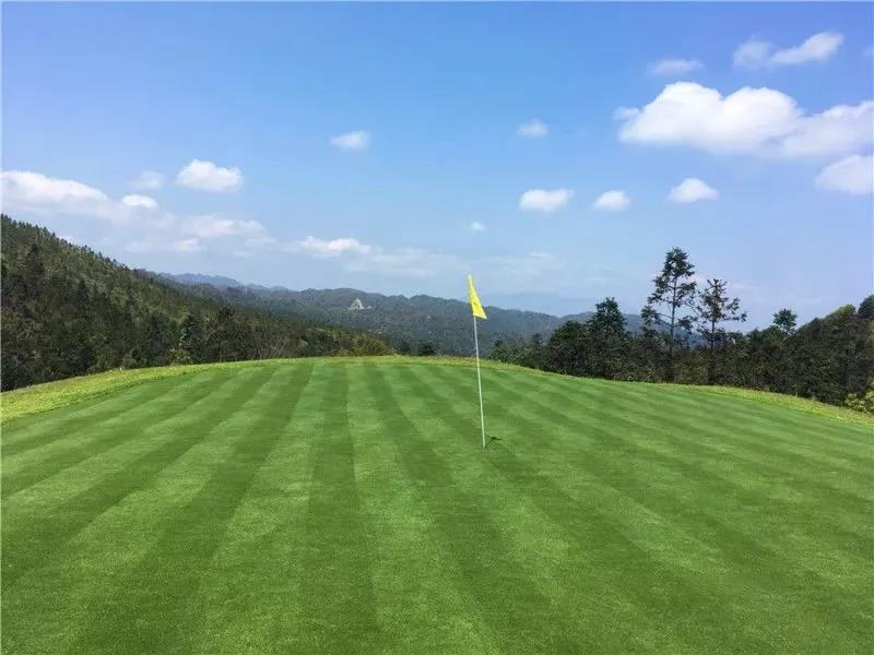 揭阳大洋高尔夫球会