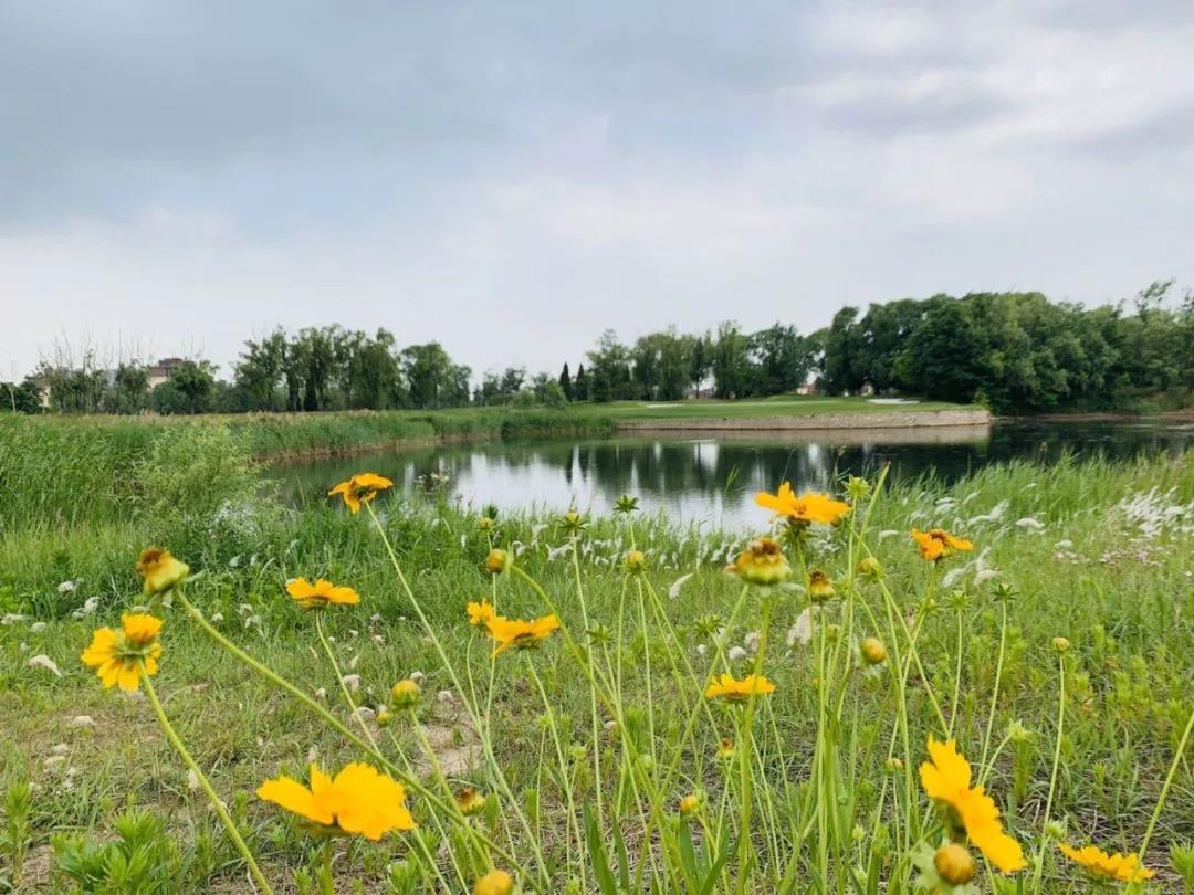 国科国际高尔夫球会