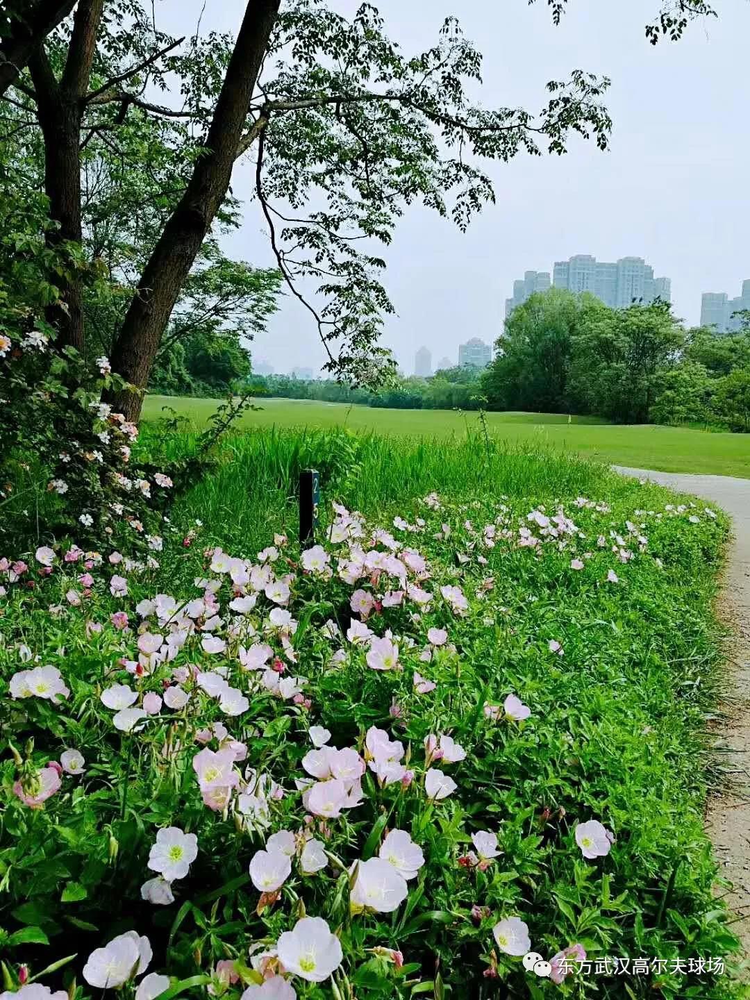 武汉东方高尔夫球会