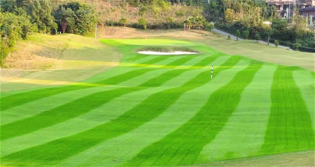 远洋国际高尔夫球会