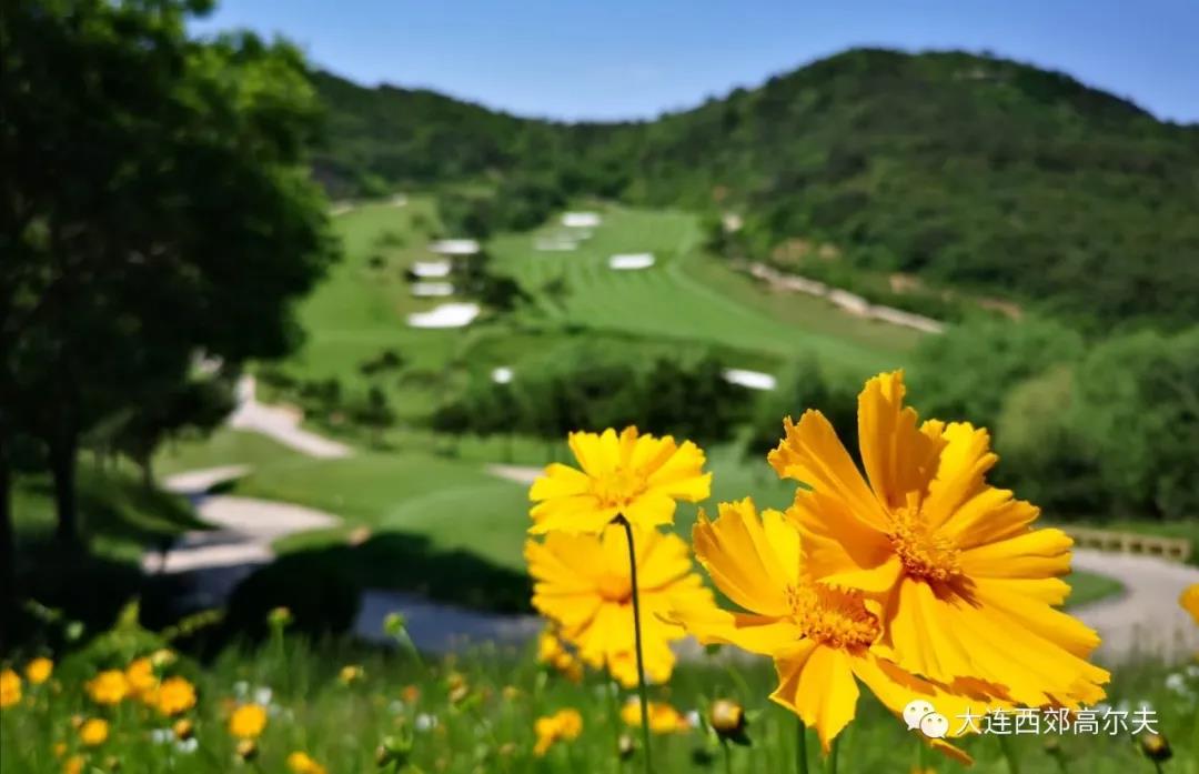大连西郊高尔夫球会