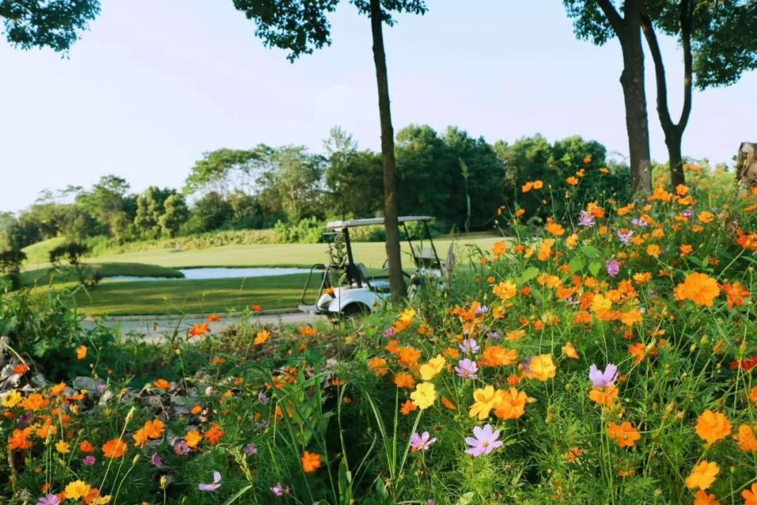 武汉金银湖高尔夫球会