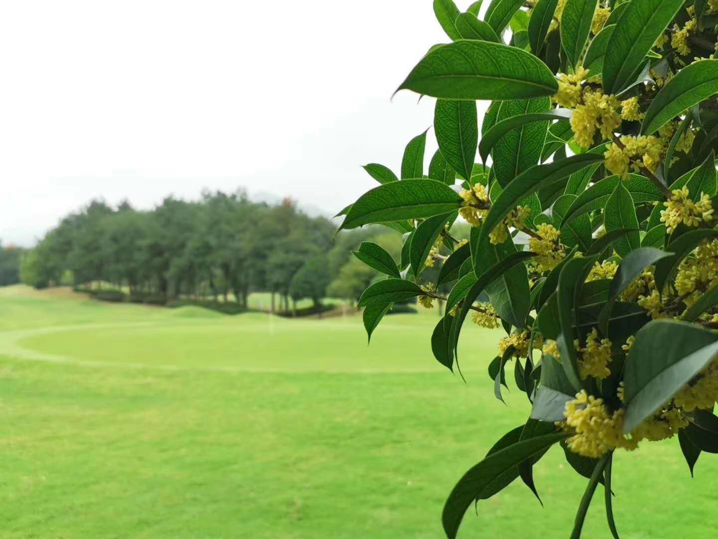 乐满地3天2晚畅打