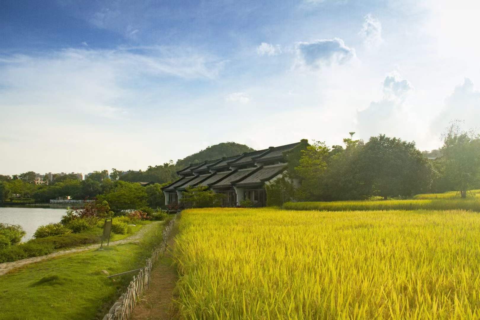 深圳名商高尔夫球会