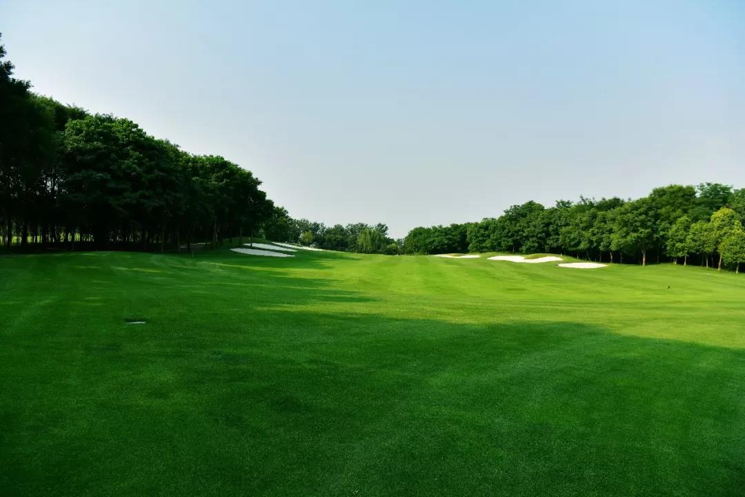 河南金沙湖高尔夫球会