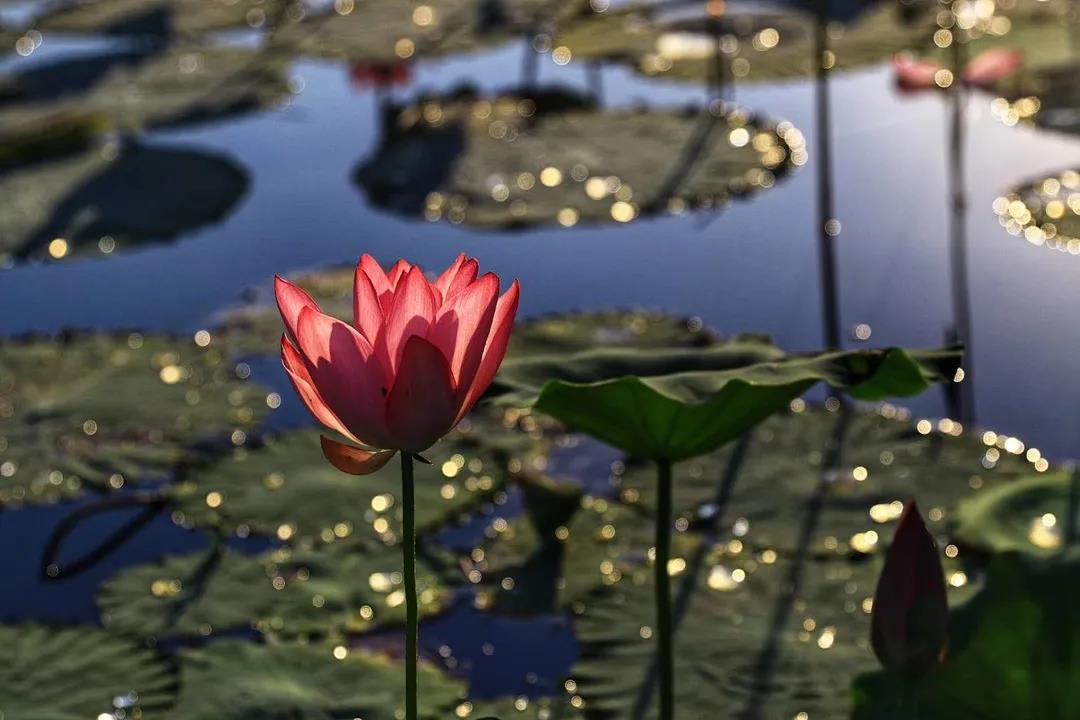 武汉金银湖高尔夫球会