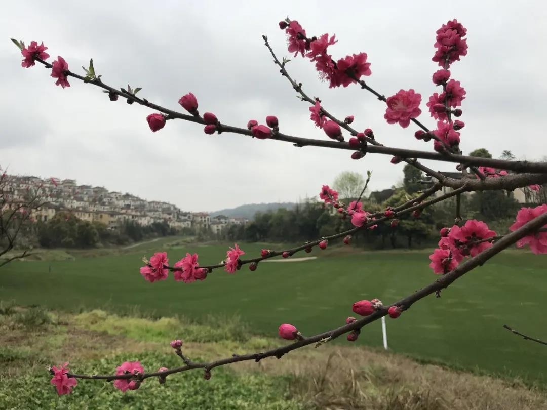 重庆保利高尔夫球会