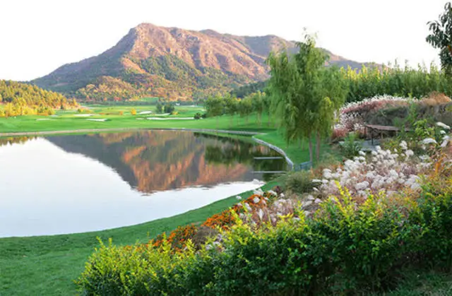 球场方喊“冤枉”：投资数亿，合法运营十余年，被一纸文件要求关停，究竟怎么回事？