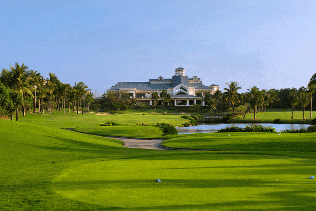 关于会员杨先生发布不实信息的澄清公告及处理决定