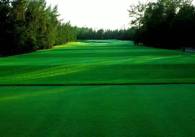 美视高尔夫球会（球场改造）
