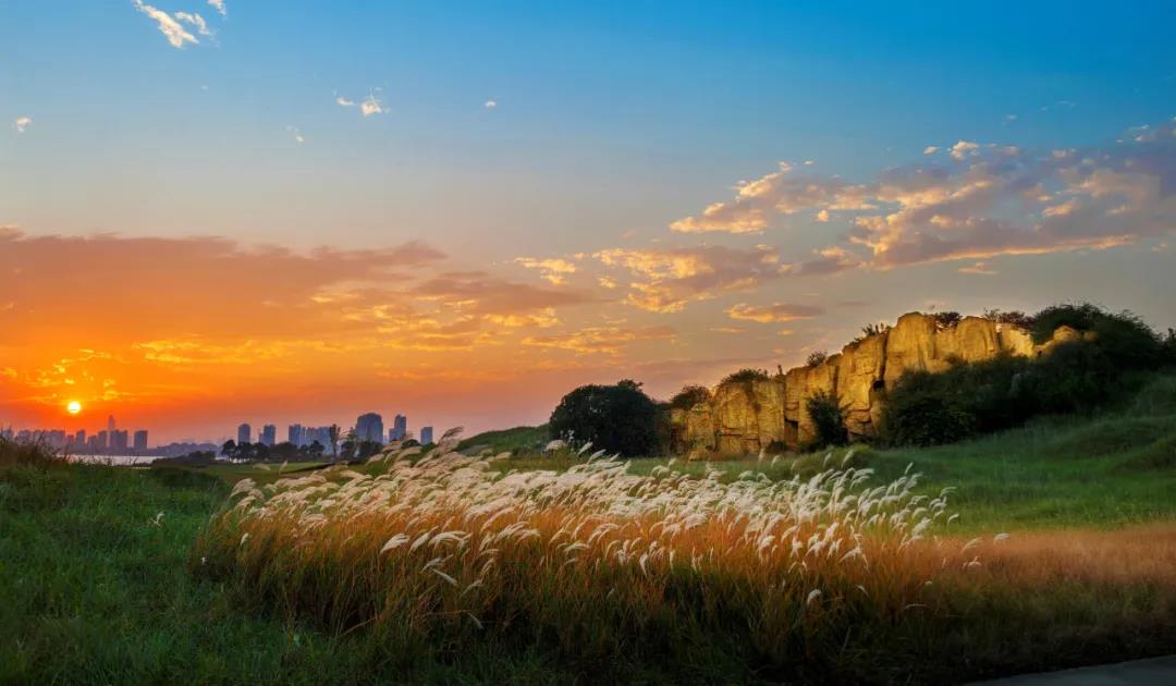 金鸡湖高尔夫球会