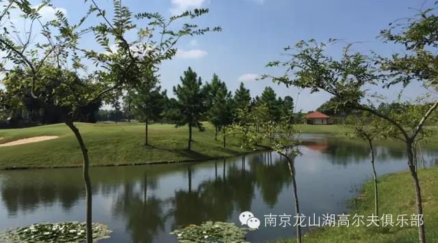 龙山湖高尔夫球会