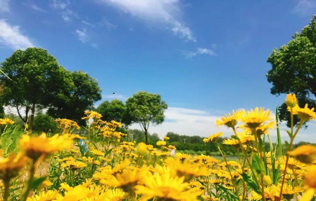 泰州华侨城高尔夫球会