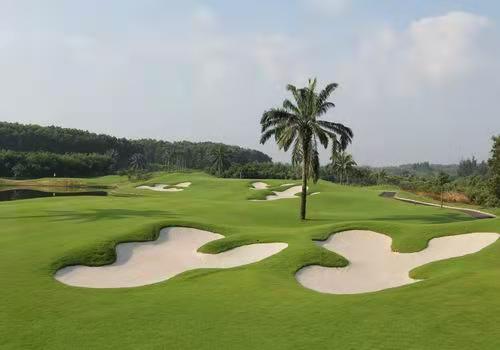 美浪湾高尔夫球会