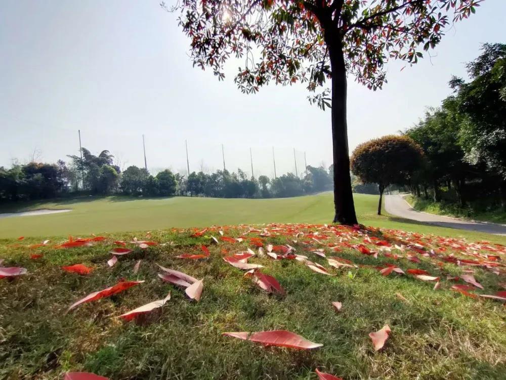 重庆红鼎高尔夫球会