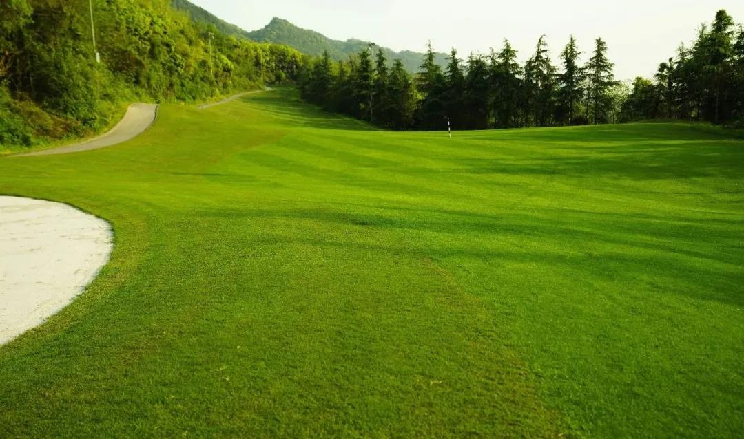 远洋国际高尔夫球会