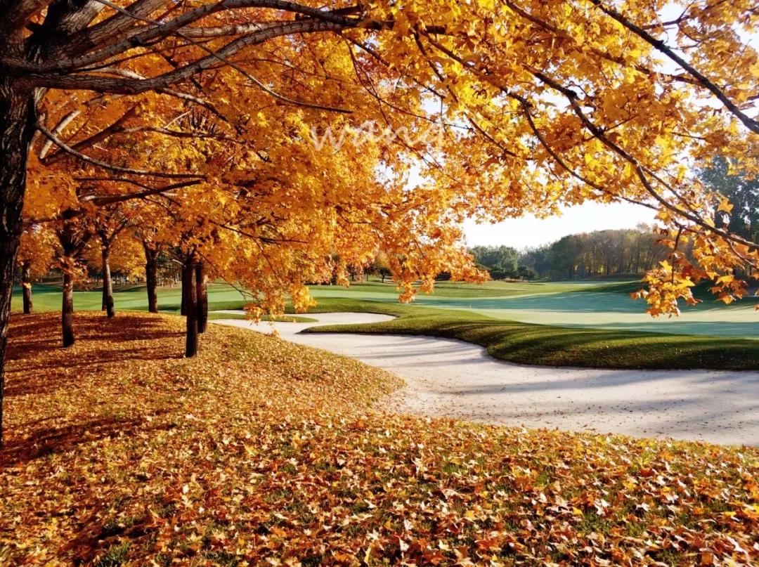 鸿华国际高尔夫球会