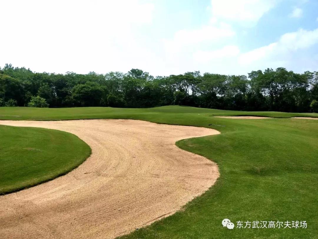 武汉东方高尔夫球会