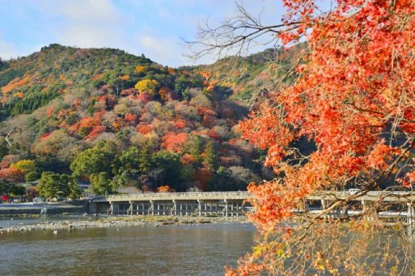 大阪、京都7天豪华赏枫、高球之旅