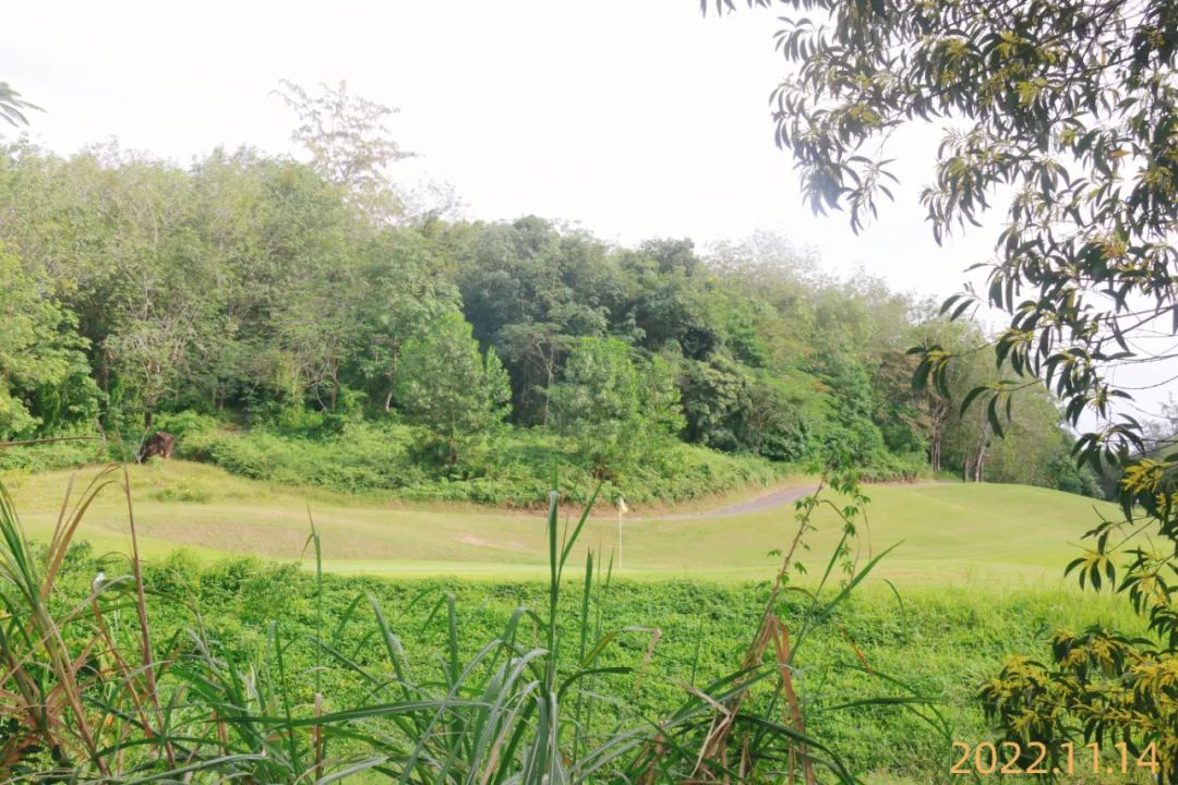 康乐园高尔夫球会