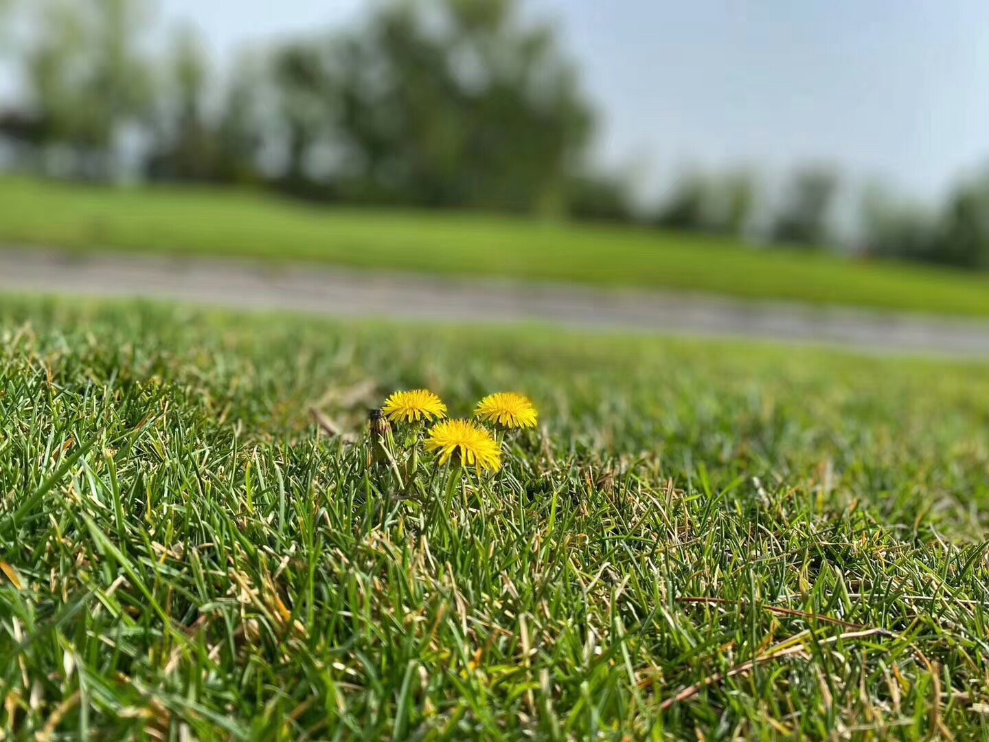 北京北辰高尔夫球会
