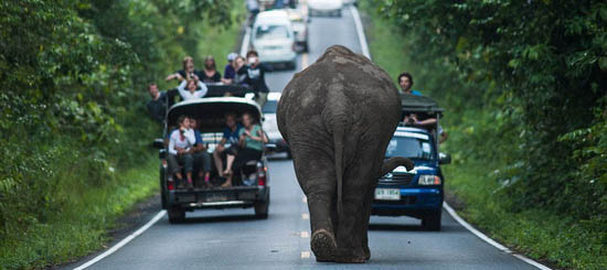 考艾山溪+牧场乡村+凯瑞玛雅5天4晚3球