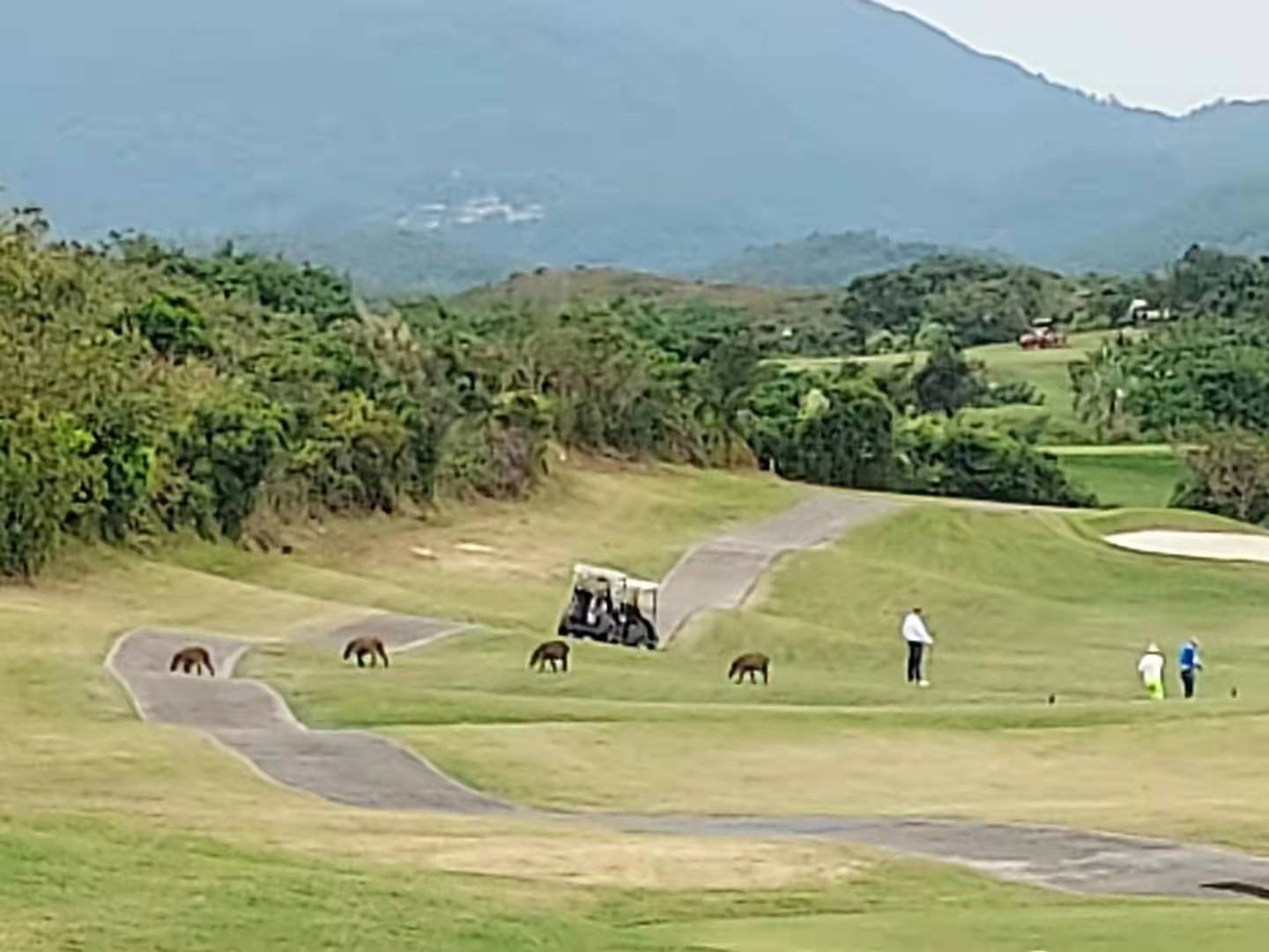 赛马会滘西洲公众高尔夫球会