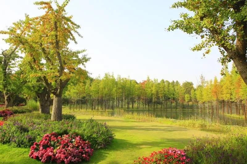 南京银杏湖高尔夫1天1晚1球套餐