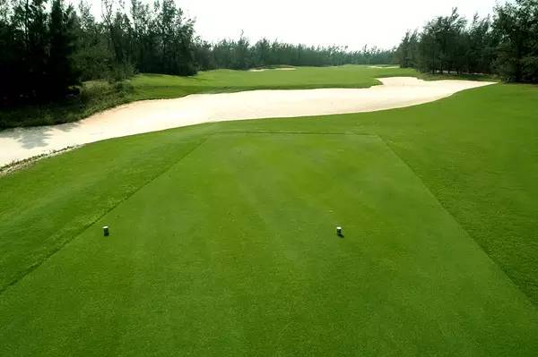 美视高尔夫球会（球场改造）