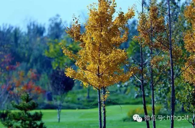 河北滹沱河高尔夫球会