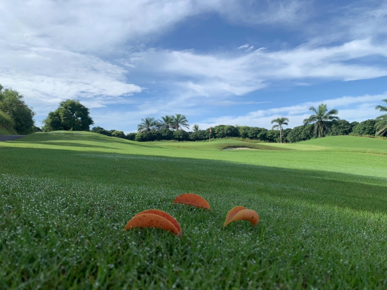 美浪湾高尔夫球会