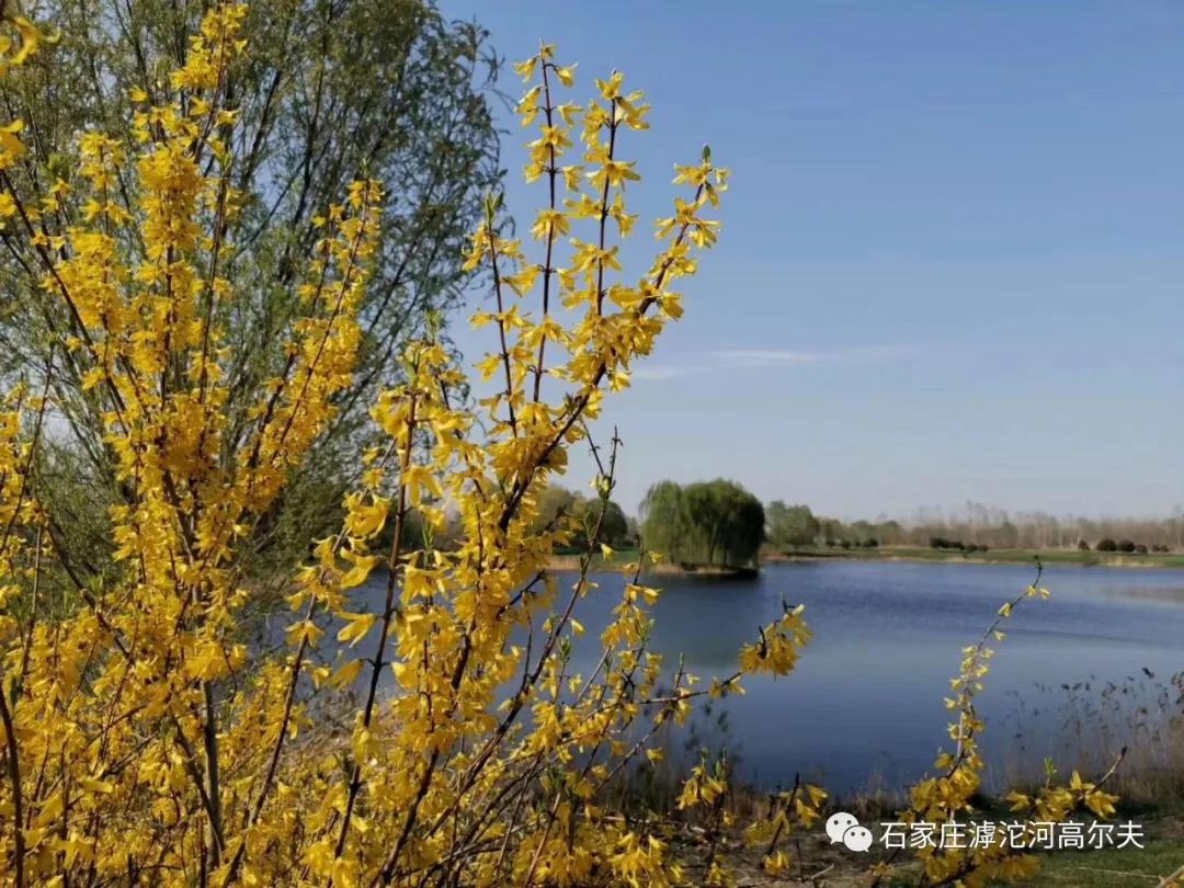 河北滹沱河高尔夫球会