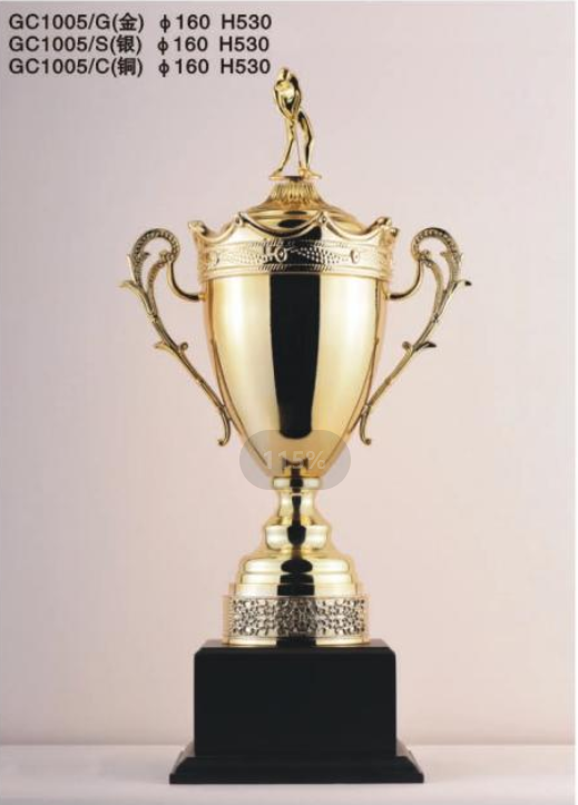 GOLF金属奖杯 款式精美 欢迎定制