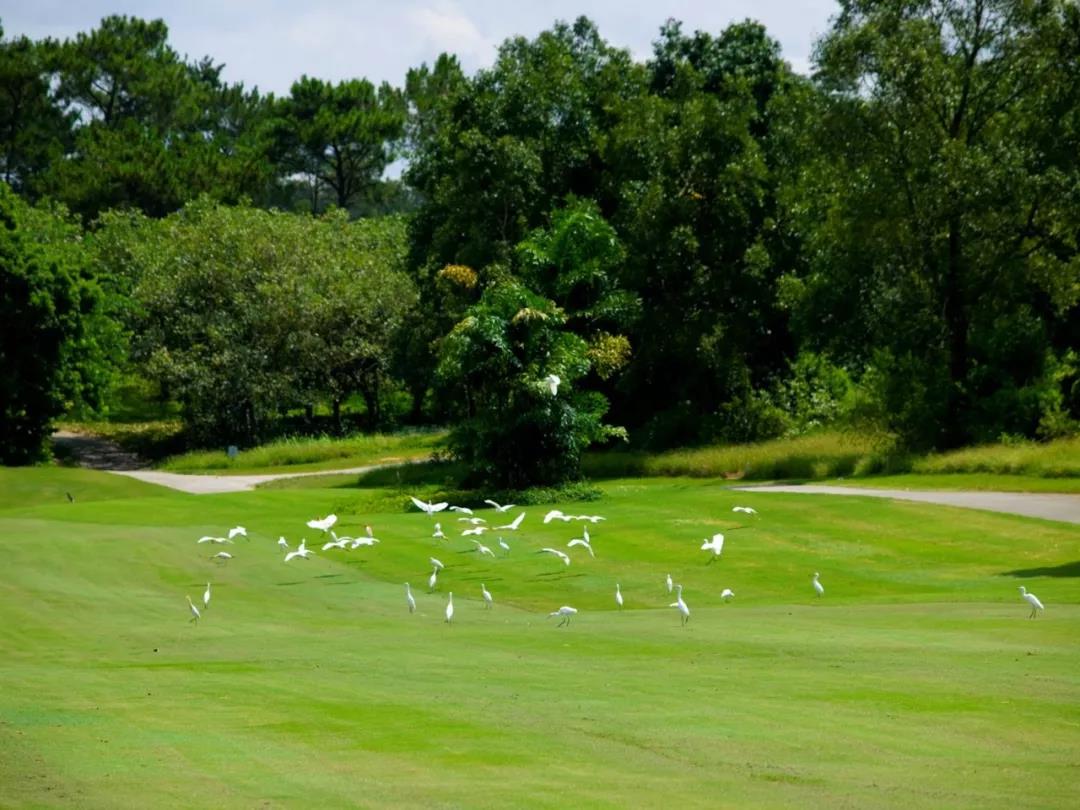 惠州候鸟高尔夫球会
