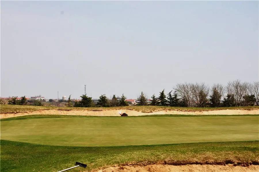 山东石岛湾高尔夫球会