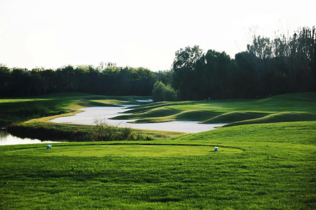 艾力枫社高尔夫球会