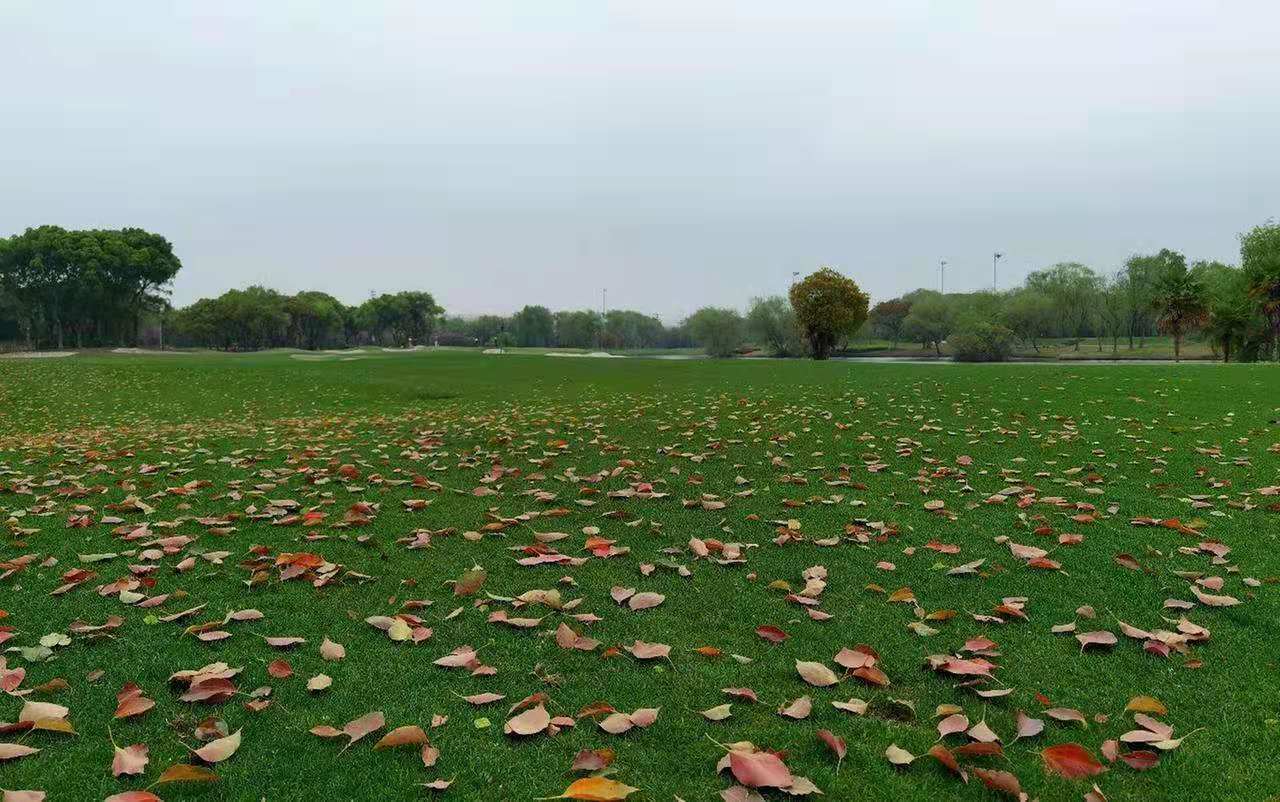 苏州三阳高尔夫球会