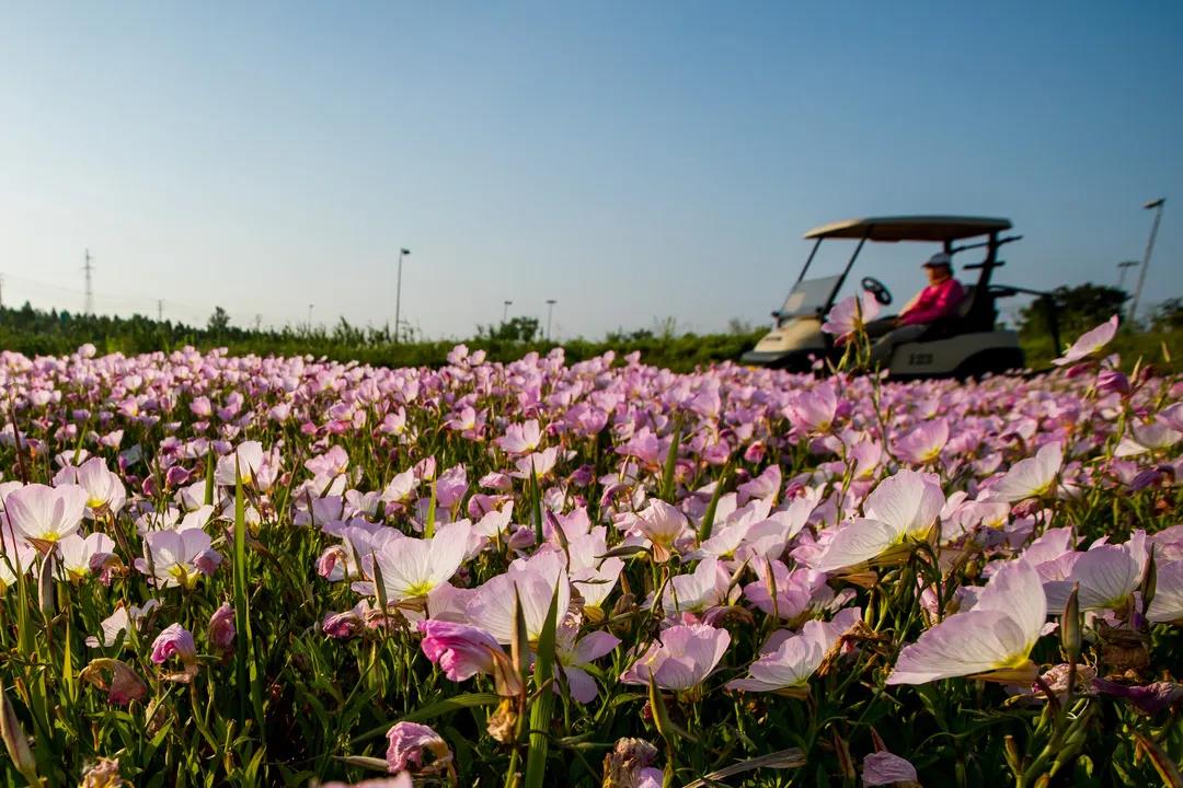 泰州华侨城高尔夫球会