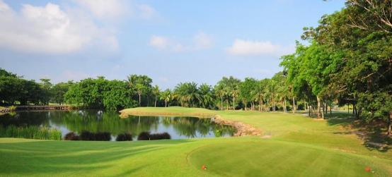 芭提雅+帕丽查高+罗勇绿谷5天4晚3球