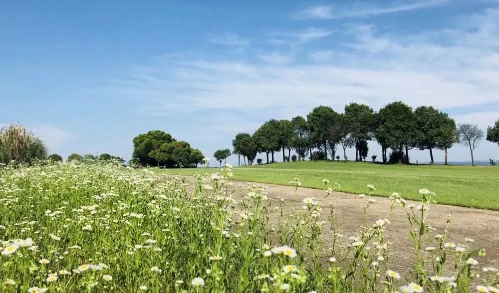 武汉梁子湖高尔夫球会