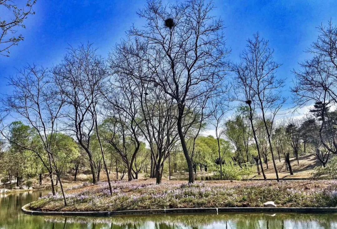 北京北辰高尔夫球会