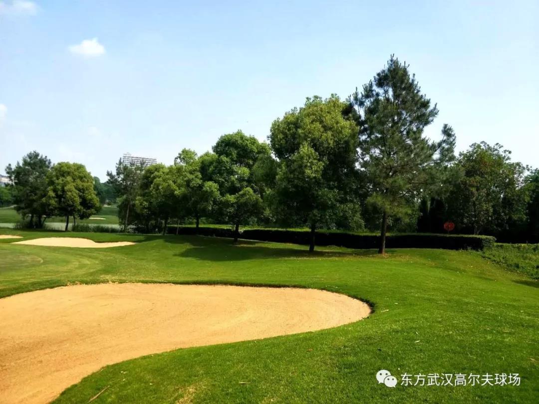 武汉东方高尔夫球会