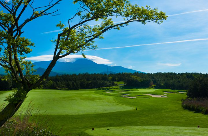 济州岛4天3晚3场球（黑石+乐天+泰迪谷）