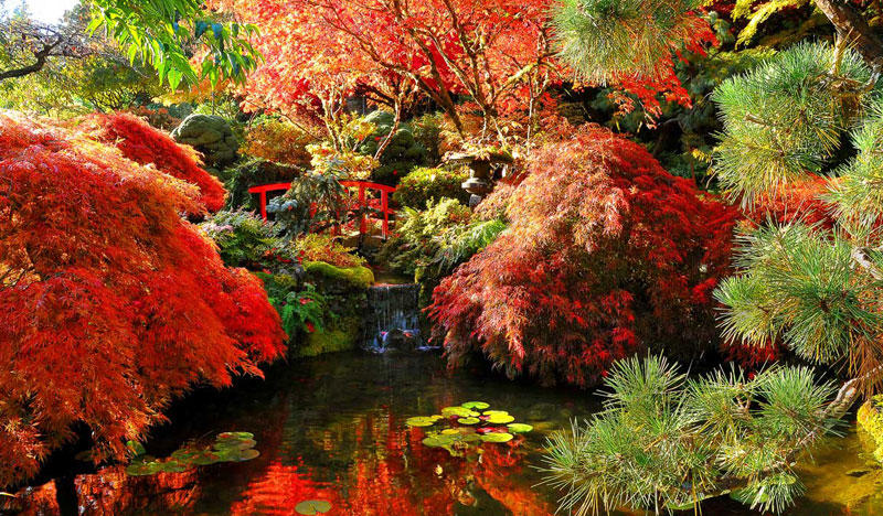 加拿大-温哥华8天6晚4球挥杆及观光之旅