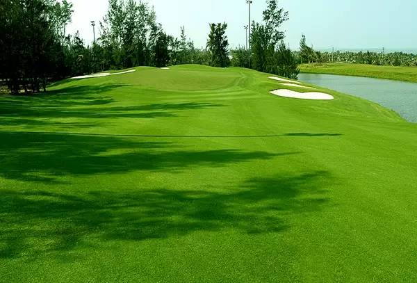 美视高尔夫球会（球场改造）